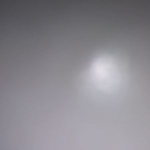 Meet your Posher, Alisha